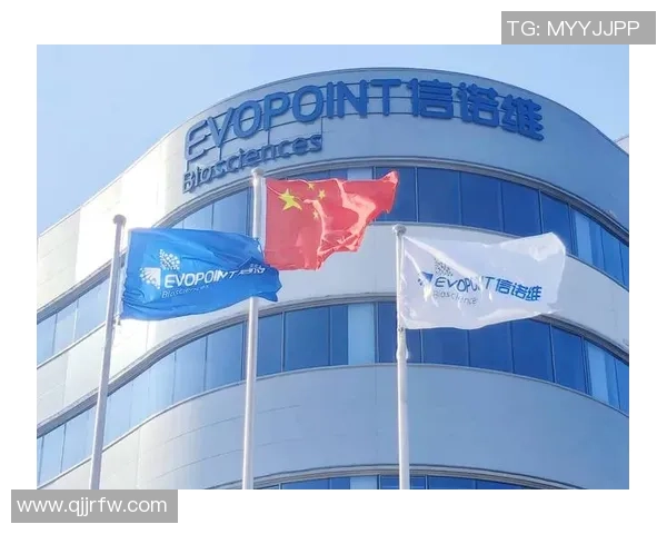 南京排球队的欧锦赛征程与突破之路全景回顾